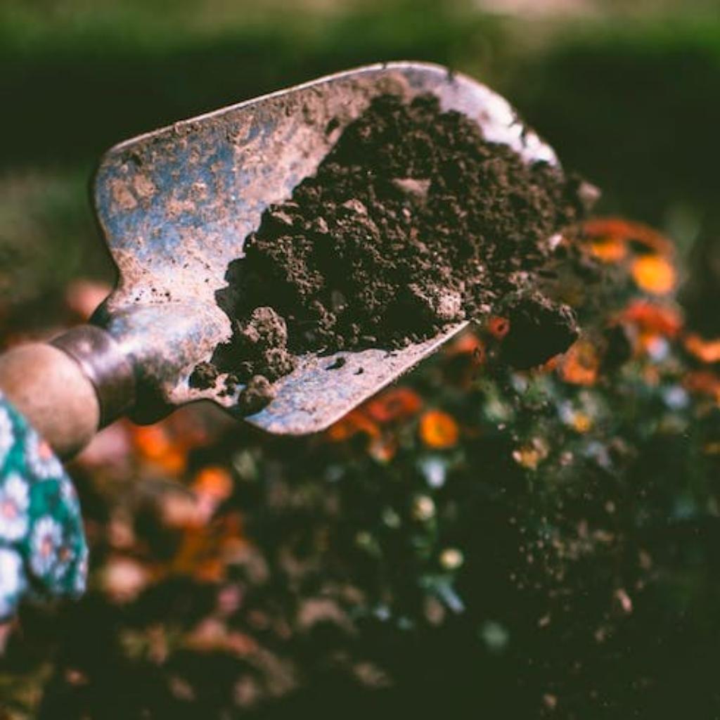 How-To: Compost