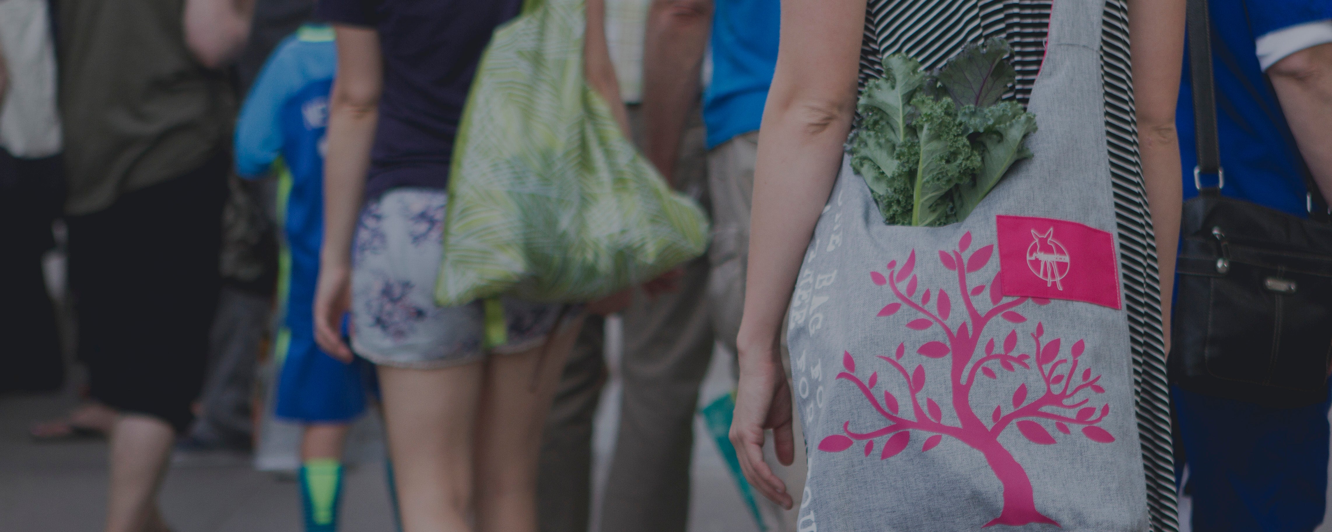 Earthgrade Reusable Grocery Shopping Bag Sustainable & Eco