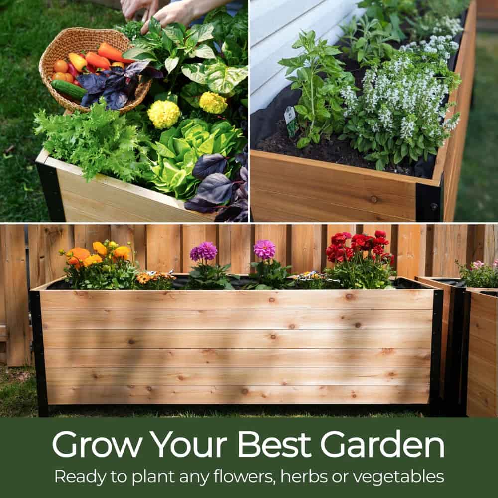 18" x 24" Planter Box - 24" TALL / Select Grade