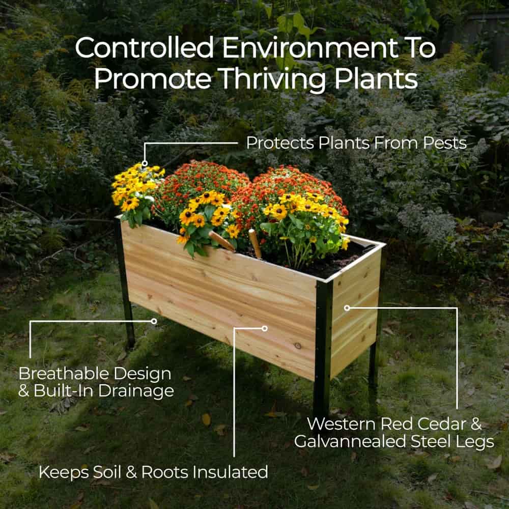 18" x 24" Planter Box - 24" TALL / Select Grade