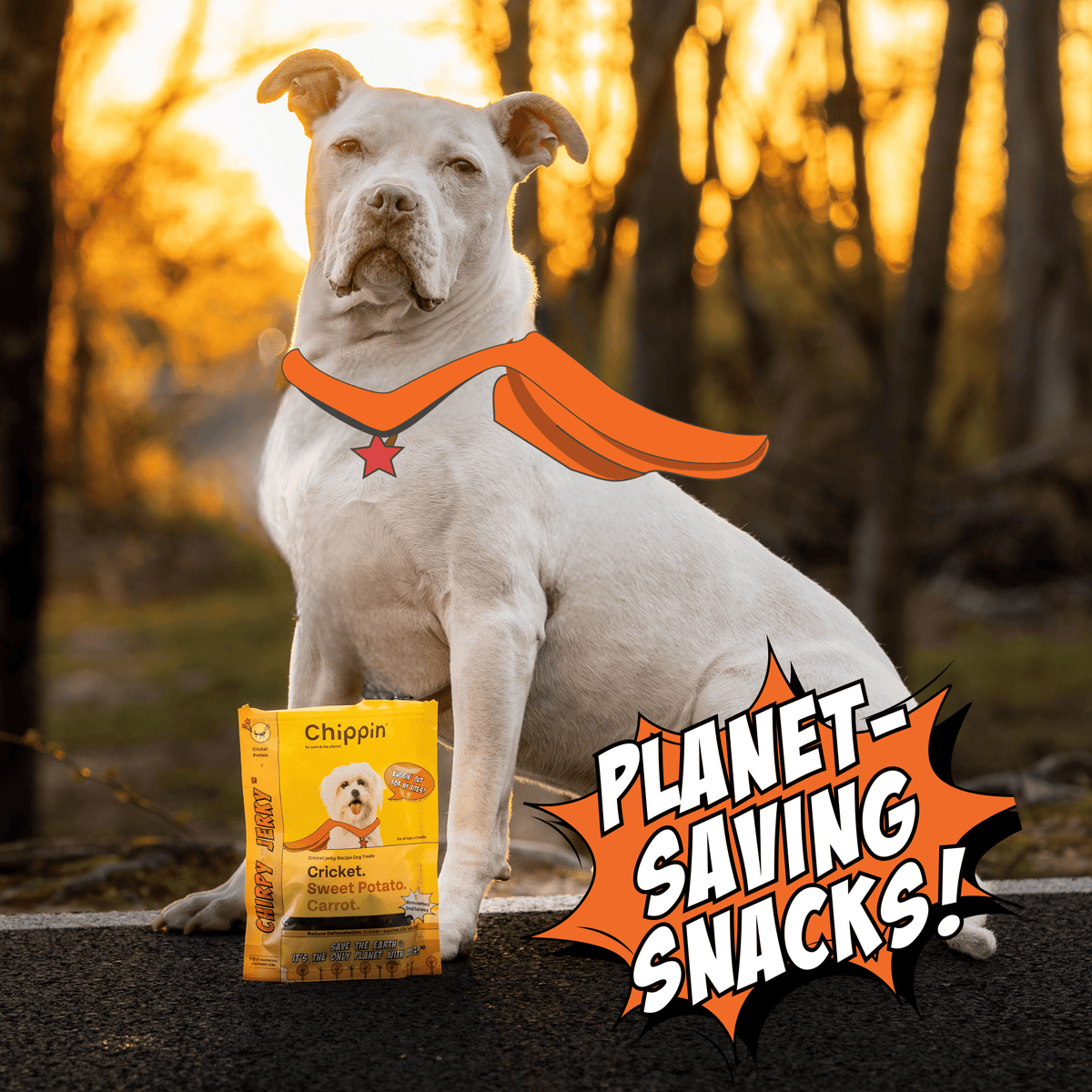 Chippin Sustainable Protein Dog Treat Starter Pack