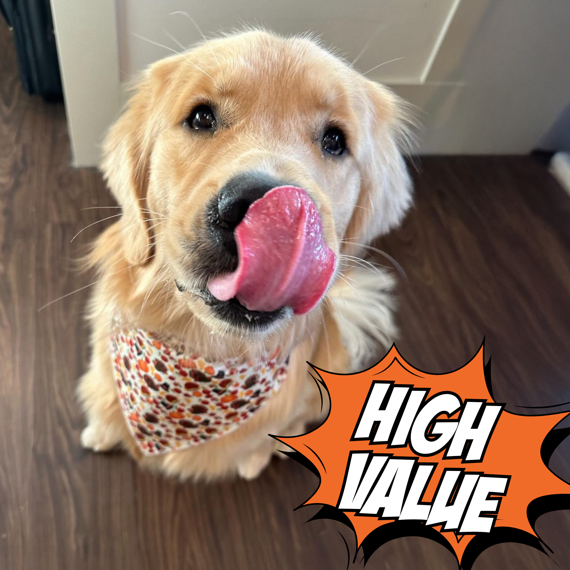 Cricket & Sweet Potato Jerky Dog Treats, 2 Pack