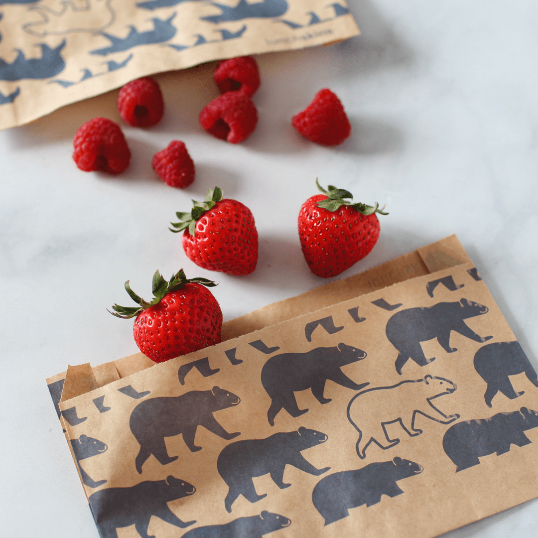 Compostable Paper Snack Bags