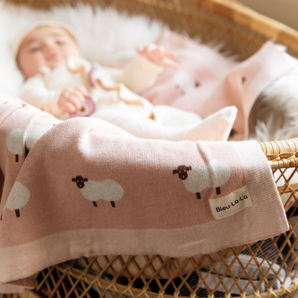 Whimsy Cotton Knit Baby Blanket