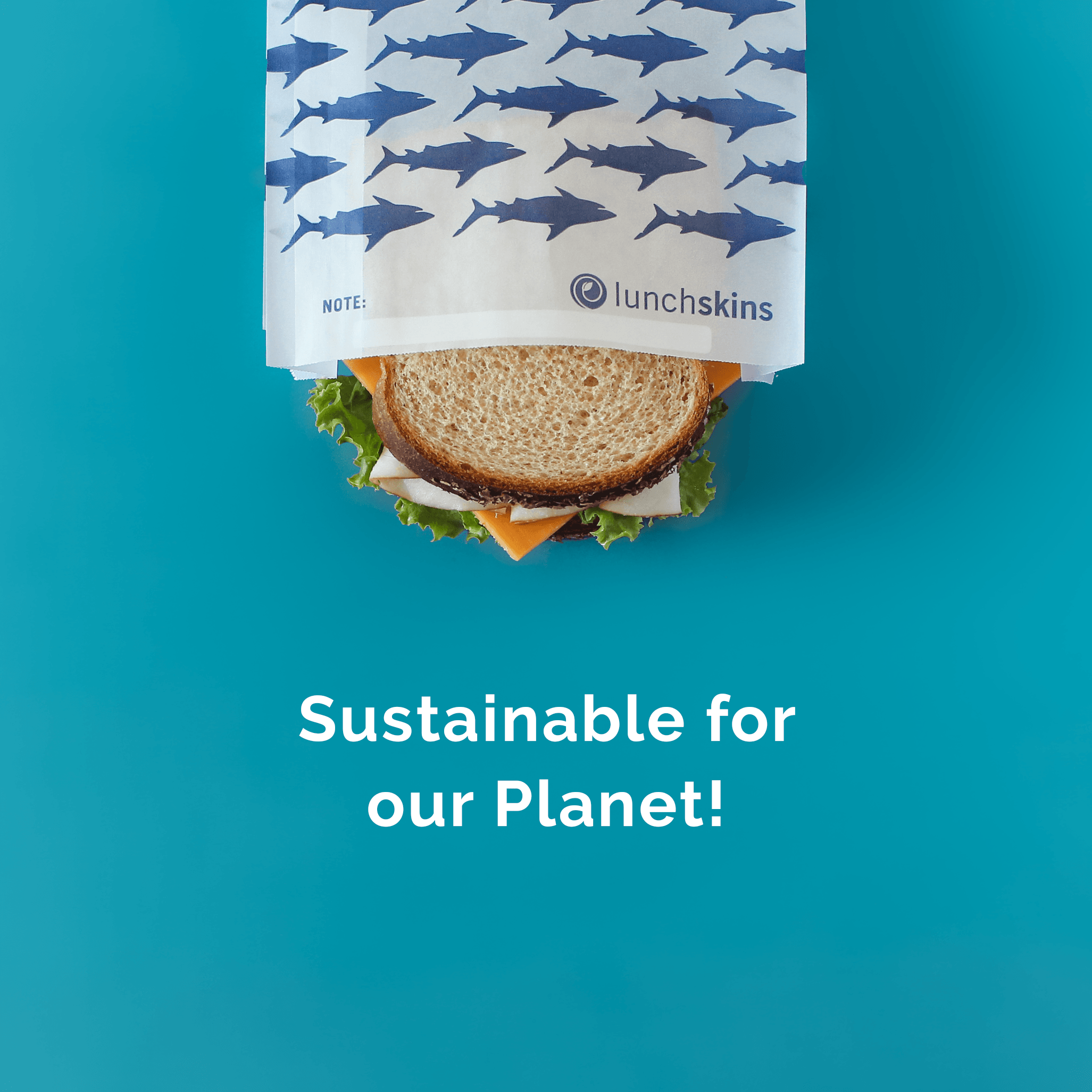 Recyclable Sandwich Bags Shark