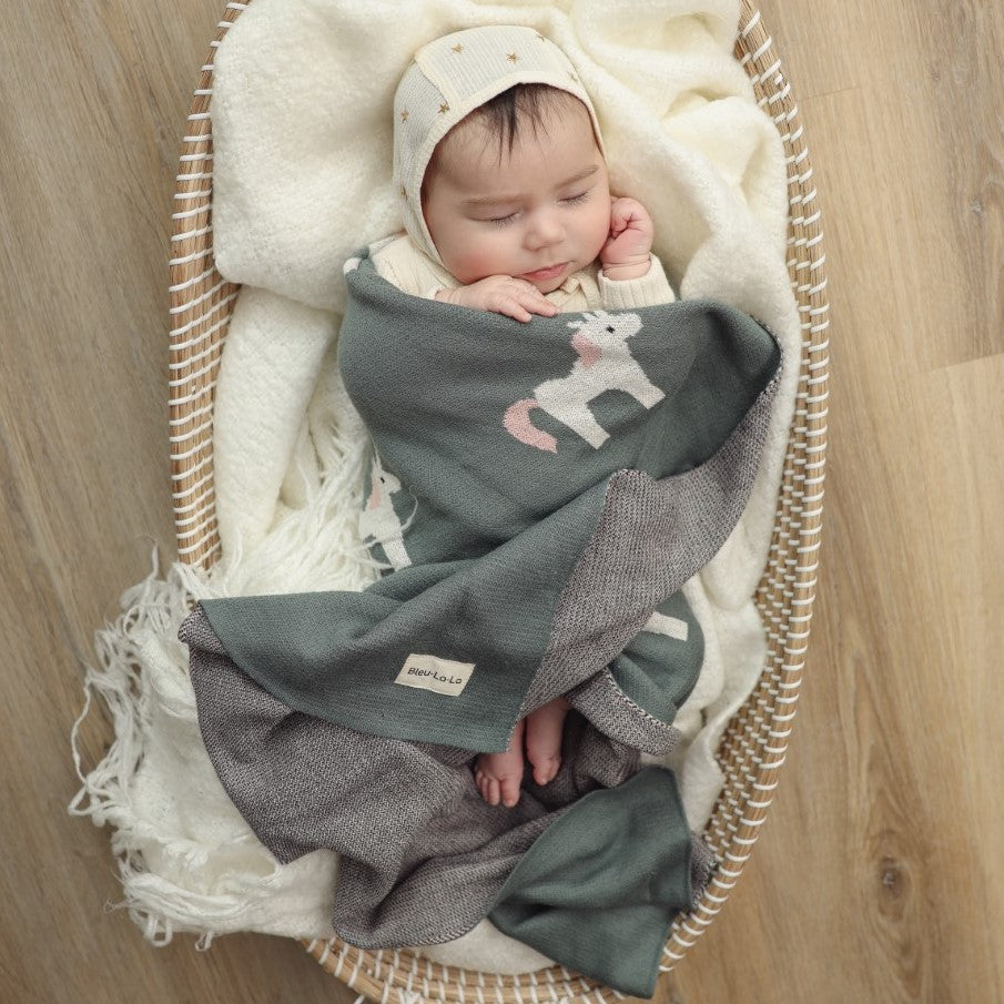 Whimsy Cotton Knit Baby Blanket