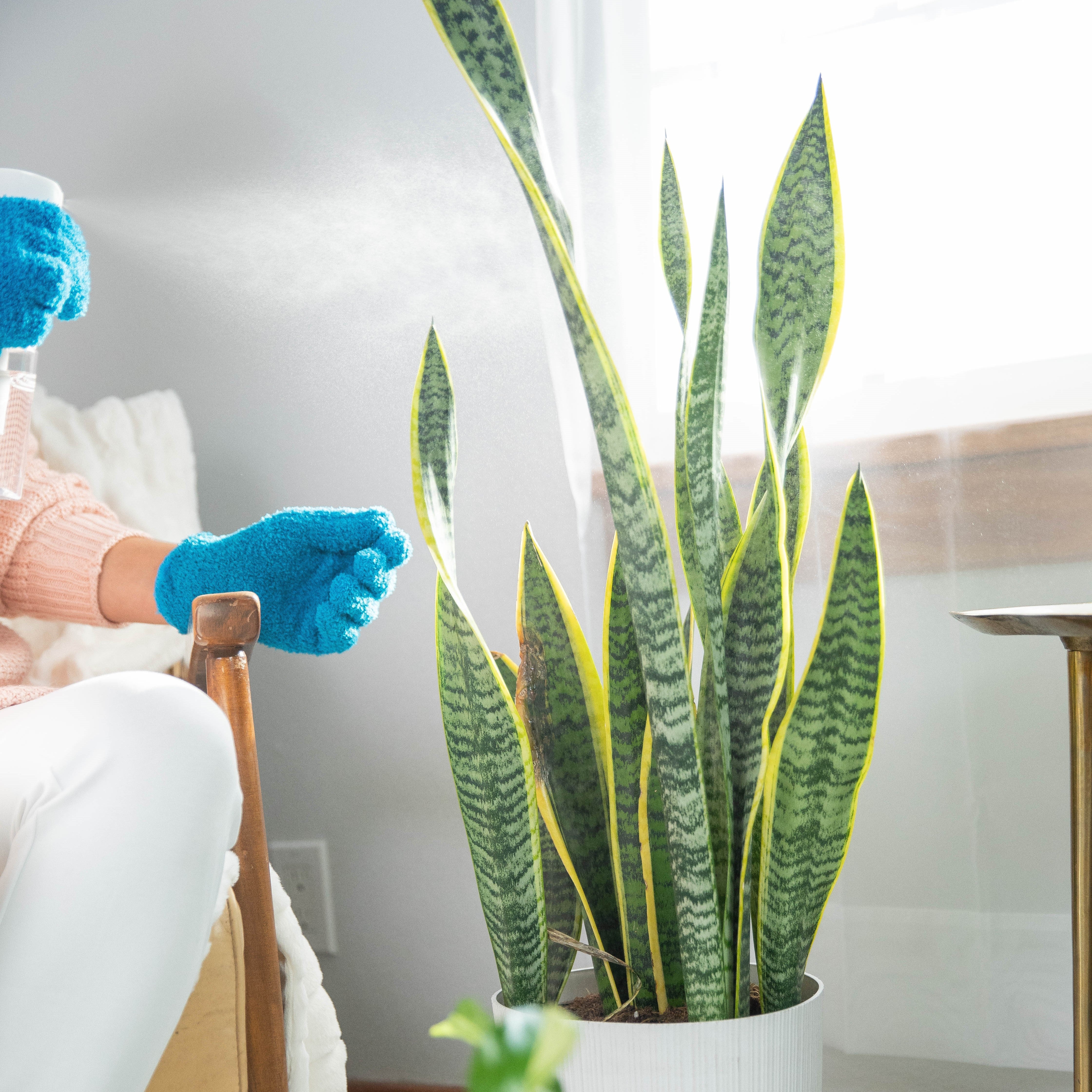 Instant Plant Protection 4-Tablet Pouch, 2-Pack Bundle