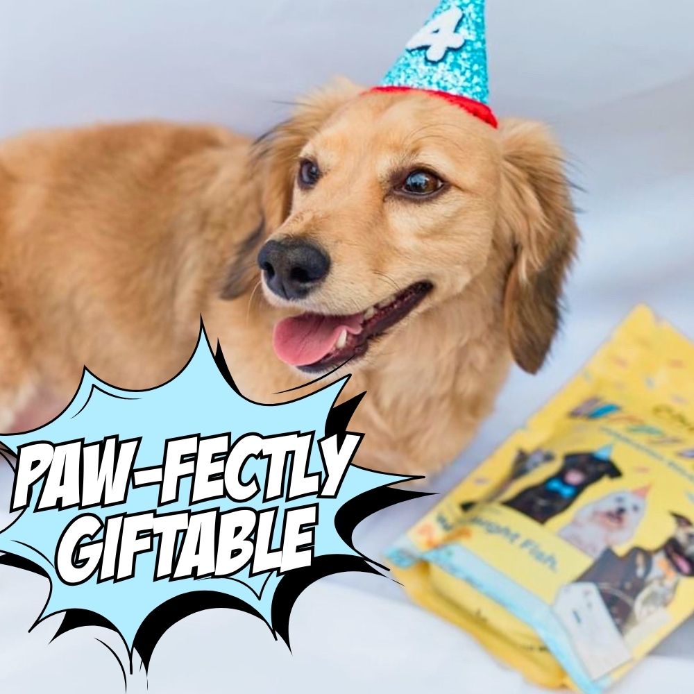 Birthday Dog Treats, 2-Pack
