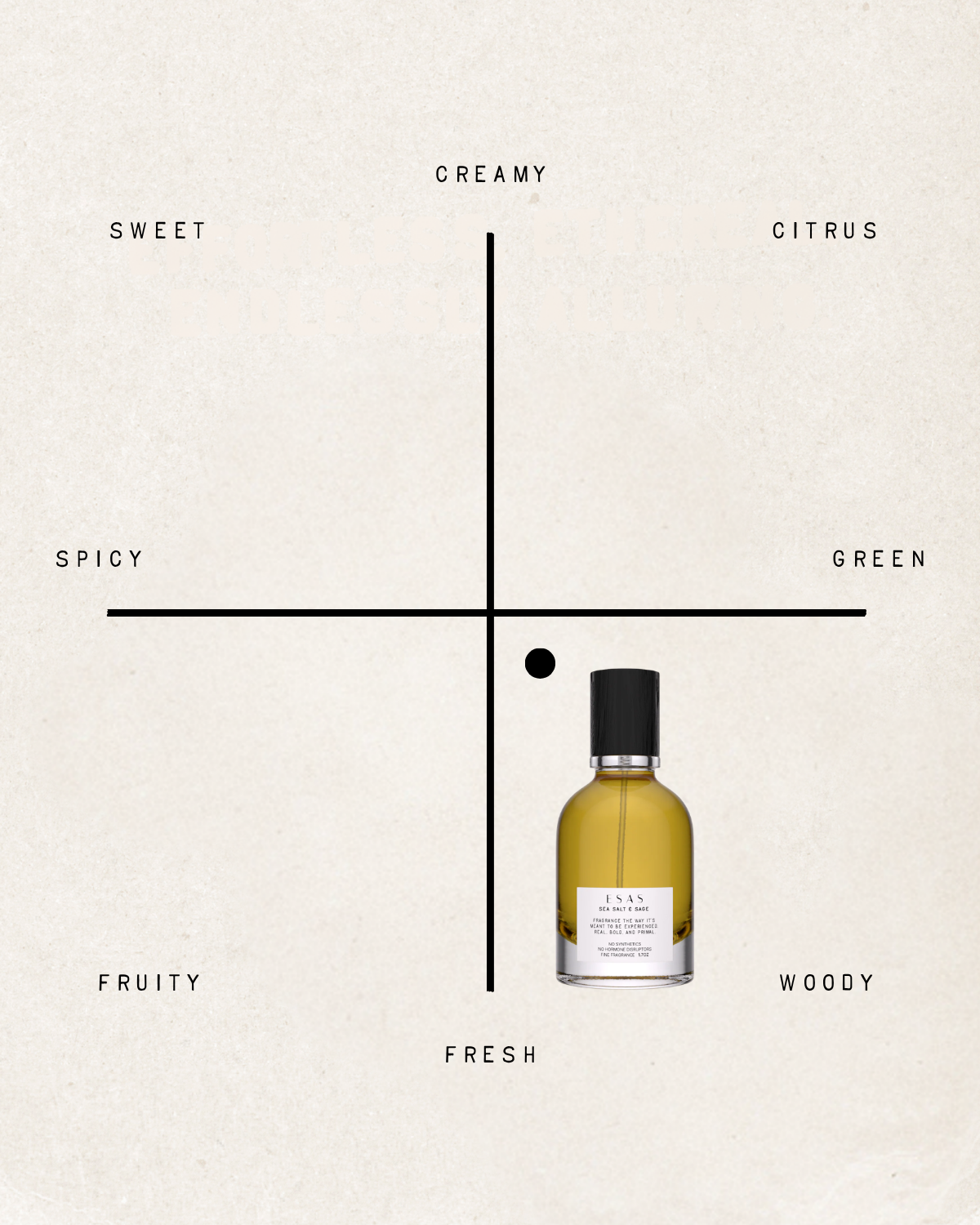 Sea Salt & Sage Fragrance