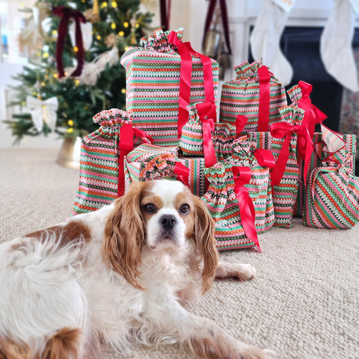 Fiesta Reusable Gift Bag Set