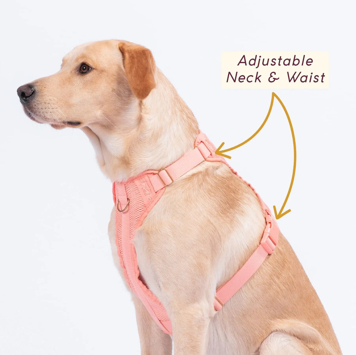 Huggie Dog Harness