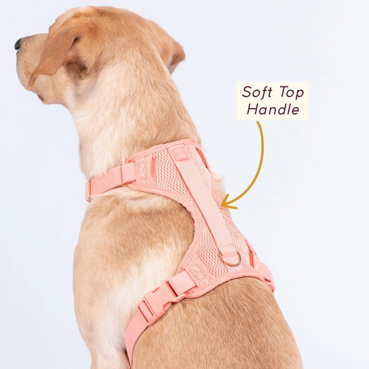 Huggie Dog Harness