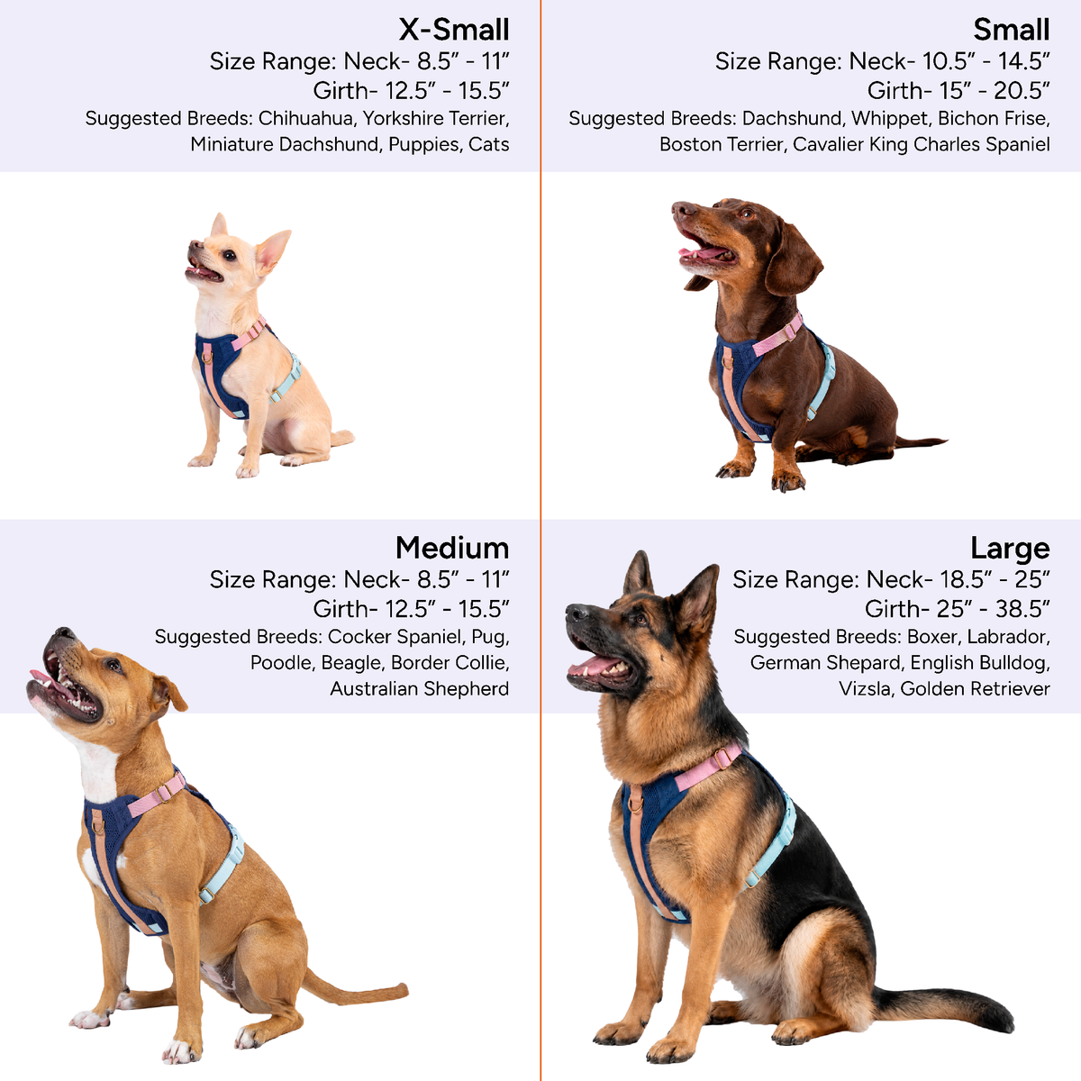Huggie Dog Harness
