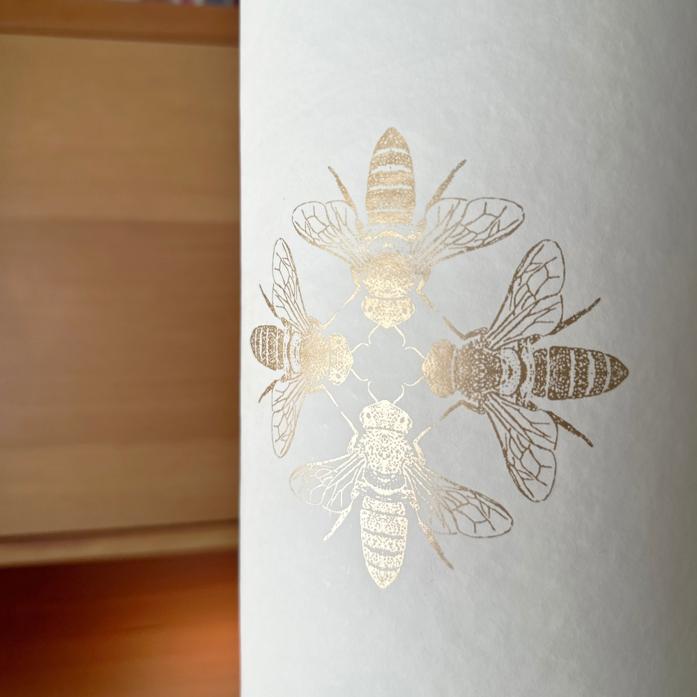 Yoga Storage Bundle | Apis