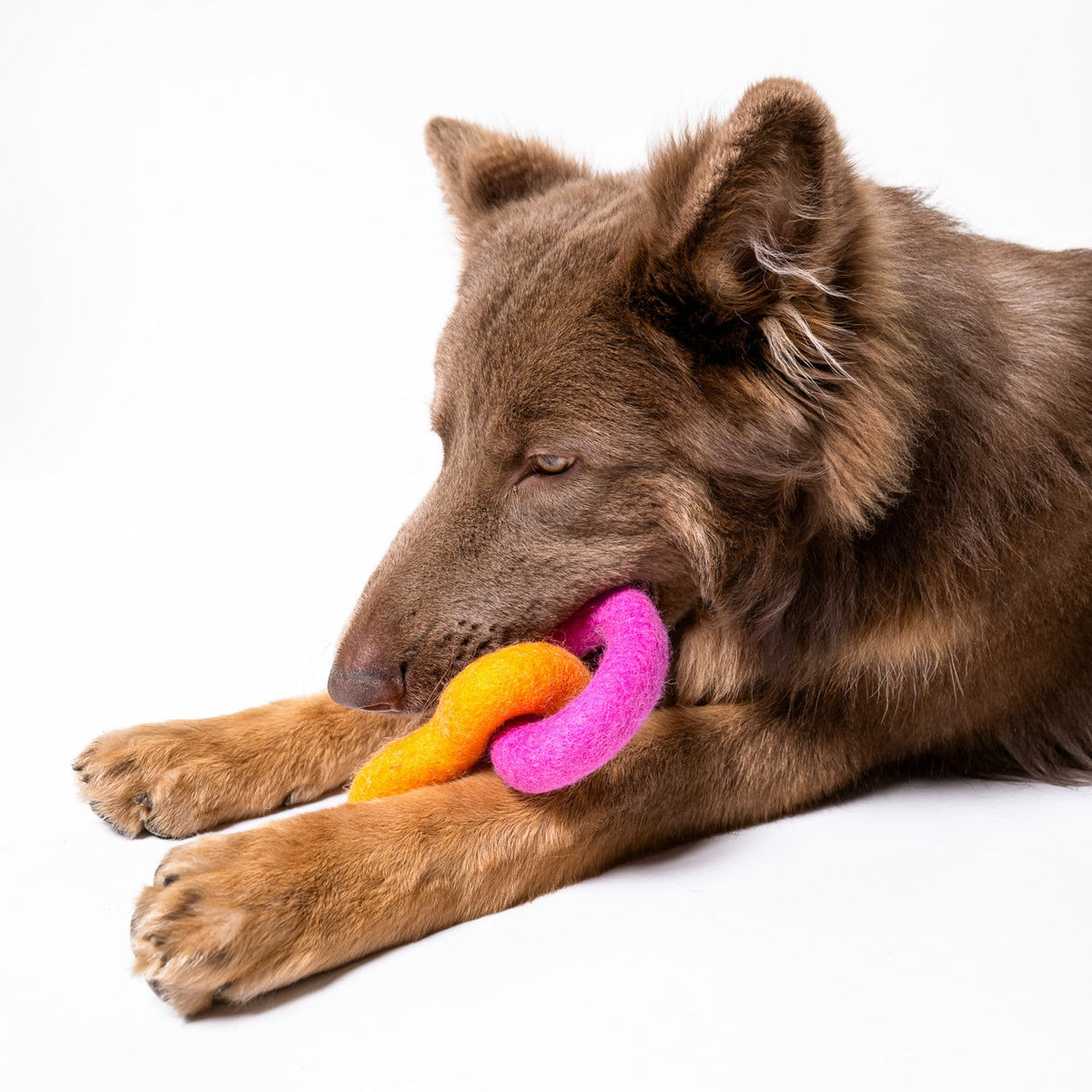 Sweethearts Felt Dog Toy
