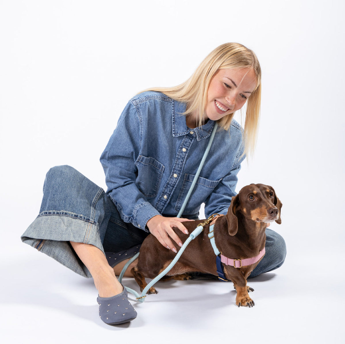 Roam Dog Harness