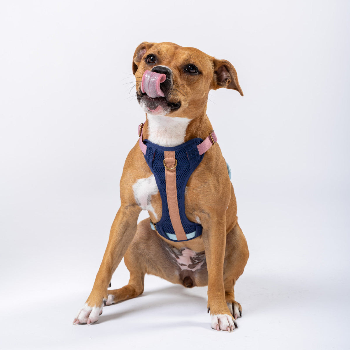 Huggie Dog Harness