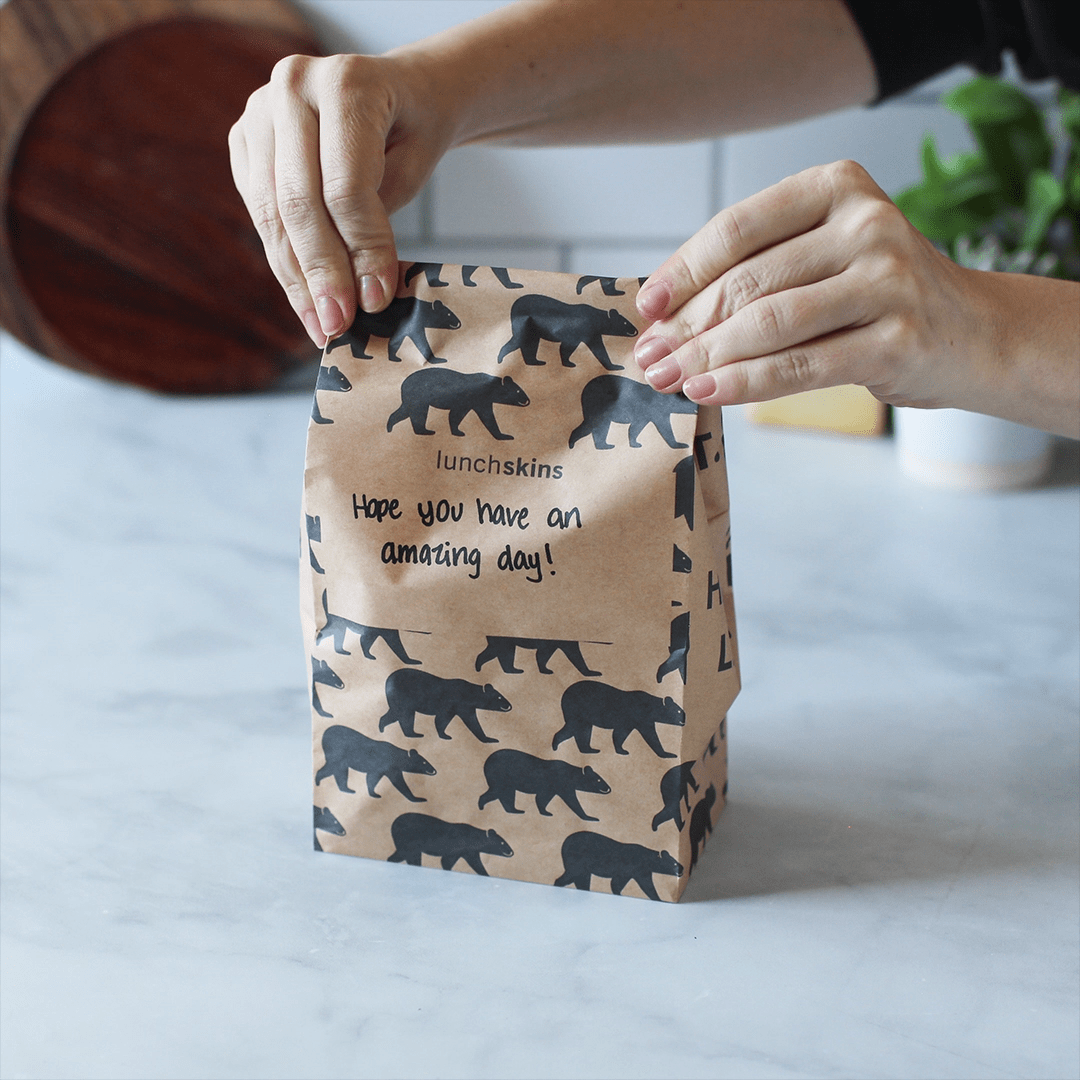 Recyclable Paper Lunch Sacs Variety Pack