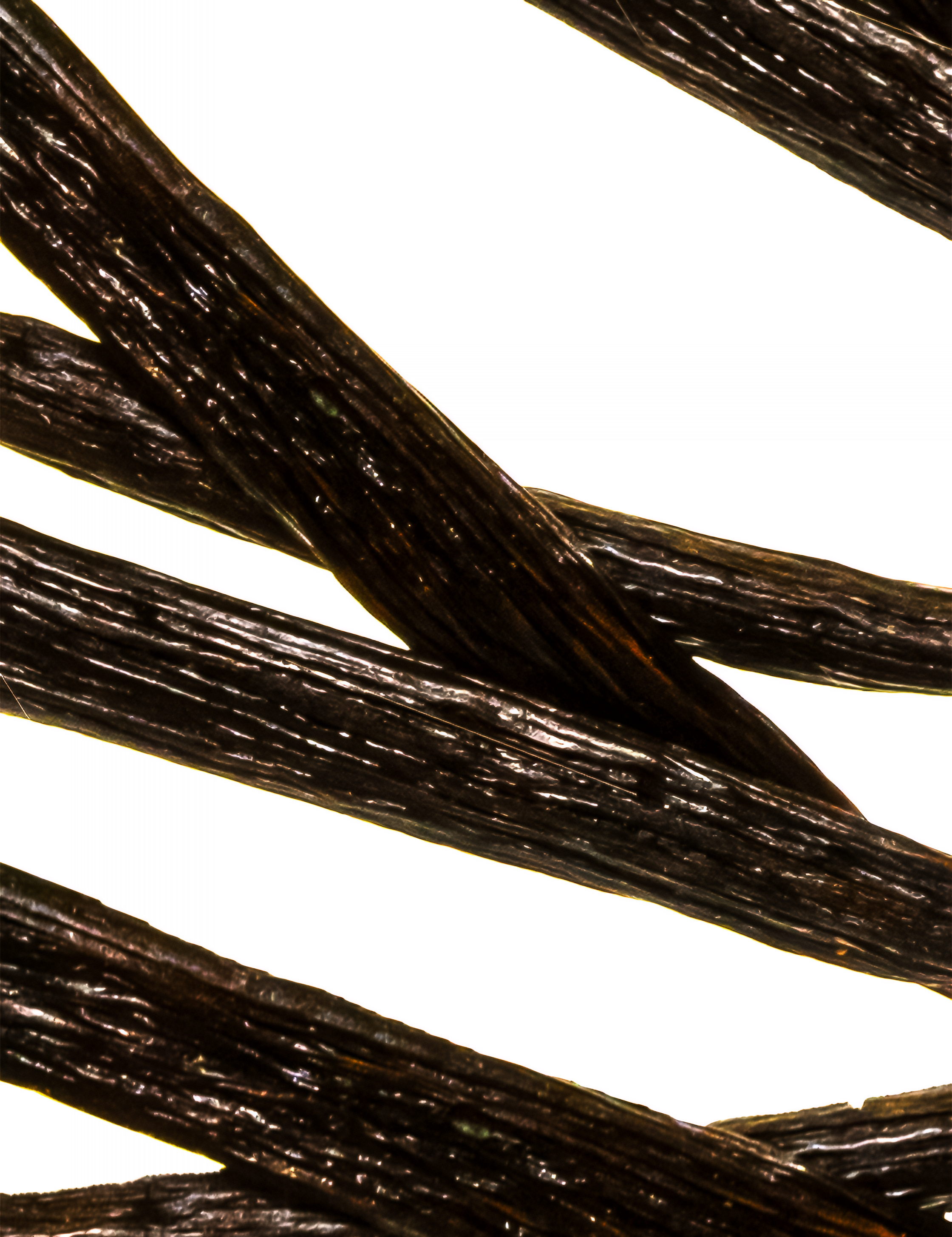 Sweet Cream & Vanilla Kolonya Hand Cleanser Duo