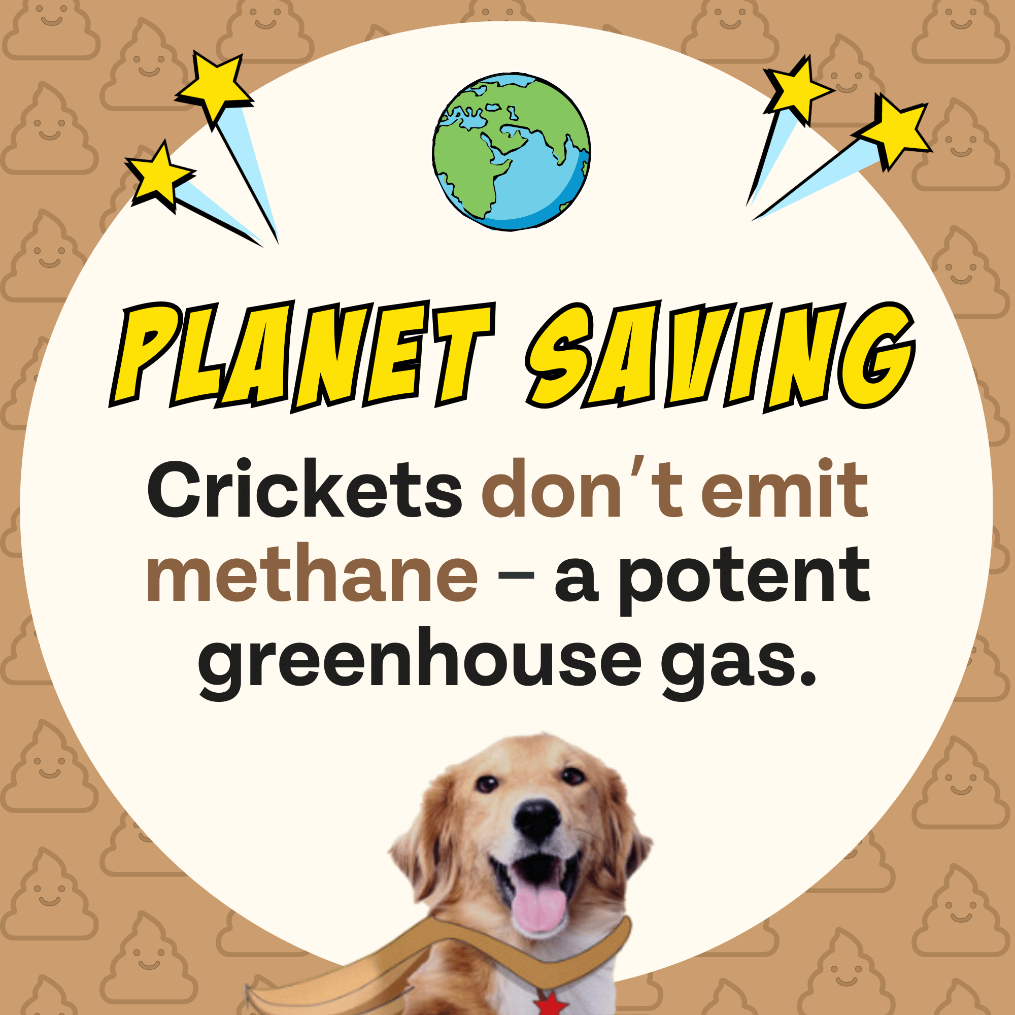 Superfood Cricket & Pumpkin Dog Treats, 4-Pack