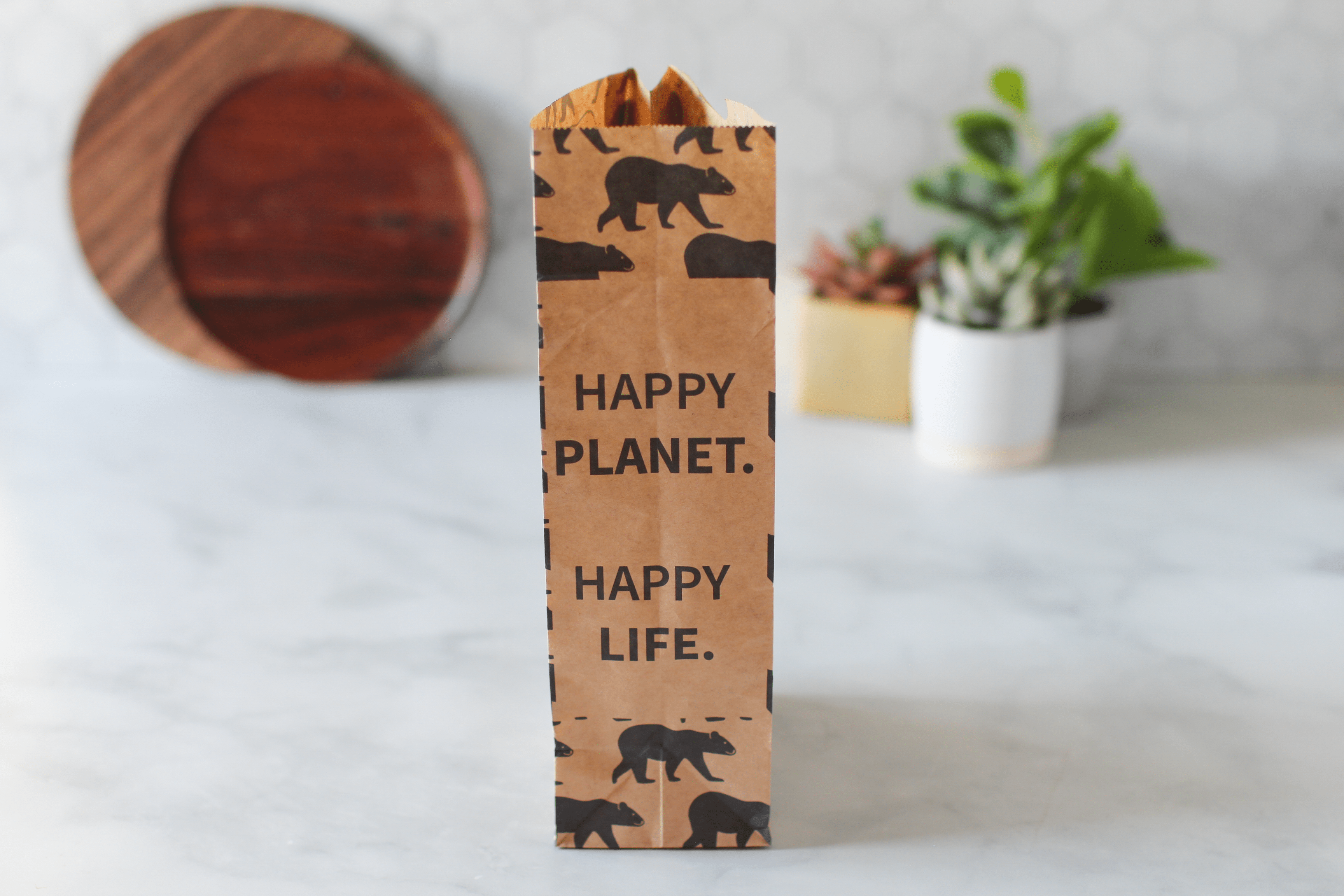 Recyclable Paper Lunch Sacs Variety Pack