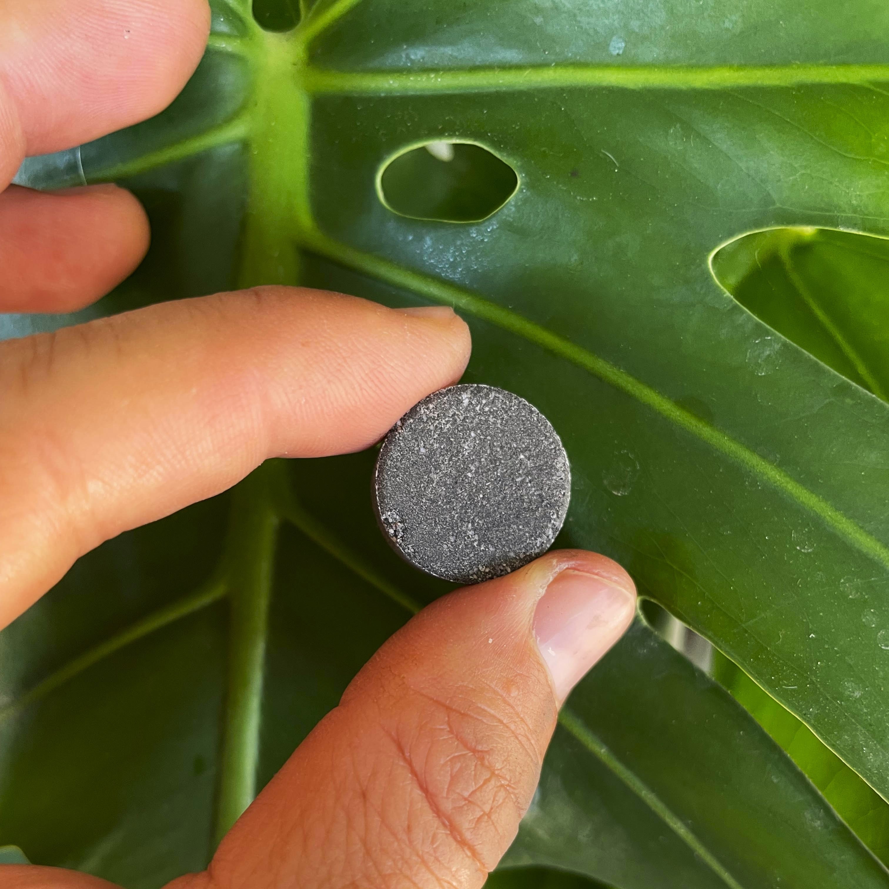 Instant Plant Support 4-Tablet Pouch, 2-Pack Bundle