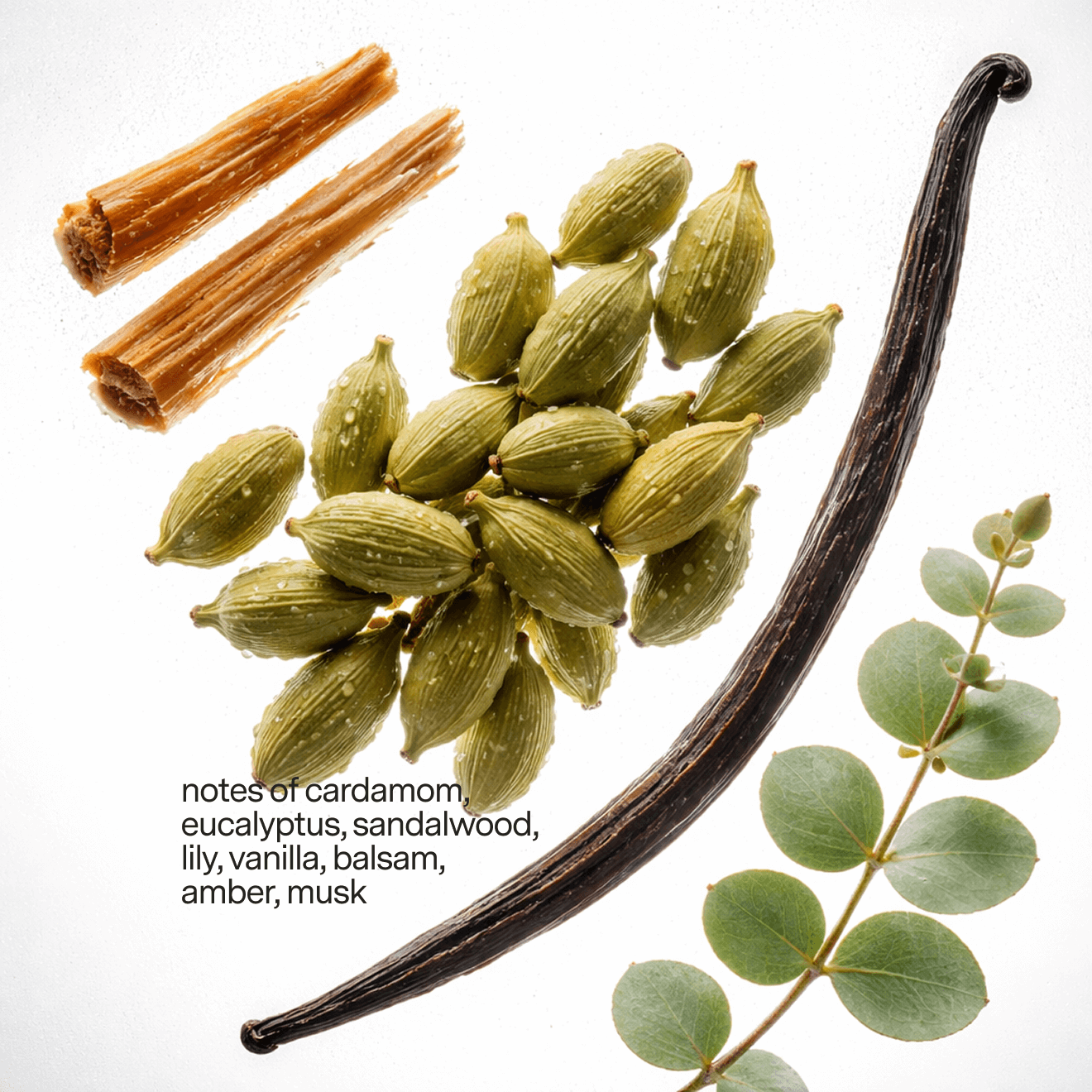 No 06 — Cardamom, Sandalwood, Vanilla