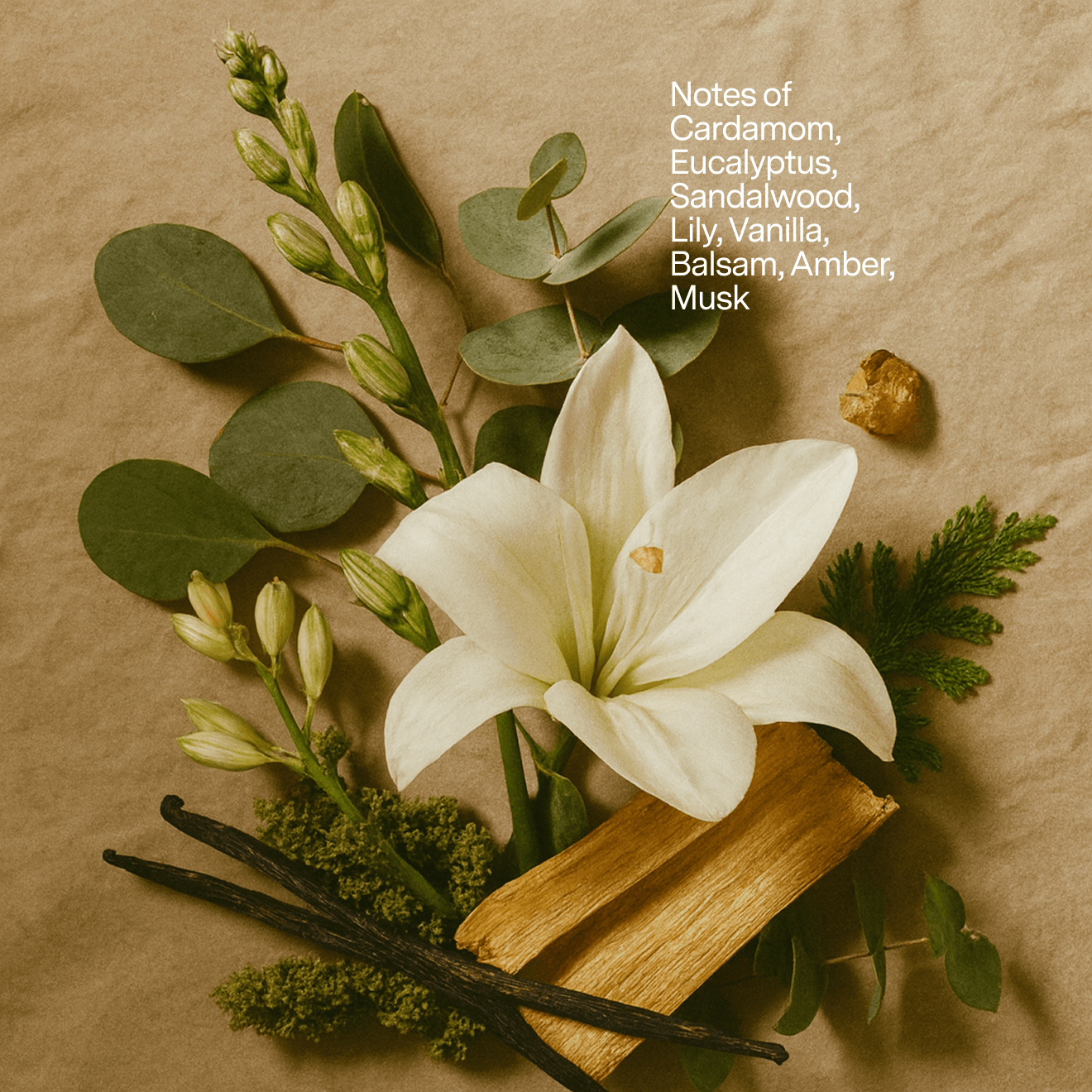 No 06 — Cardamom, Sandalwood, Vanilla