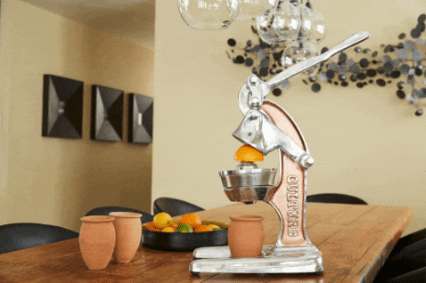 Artisan Citrus Juicer - Large