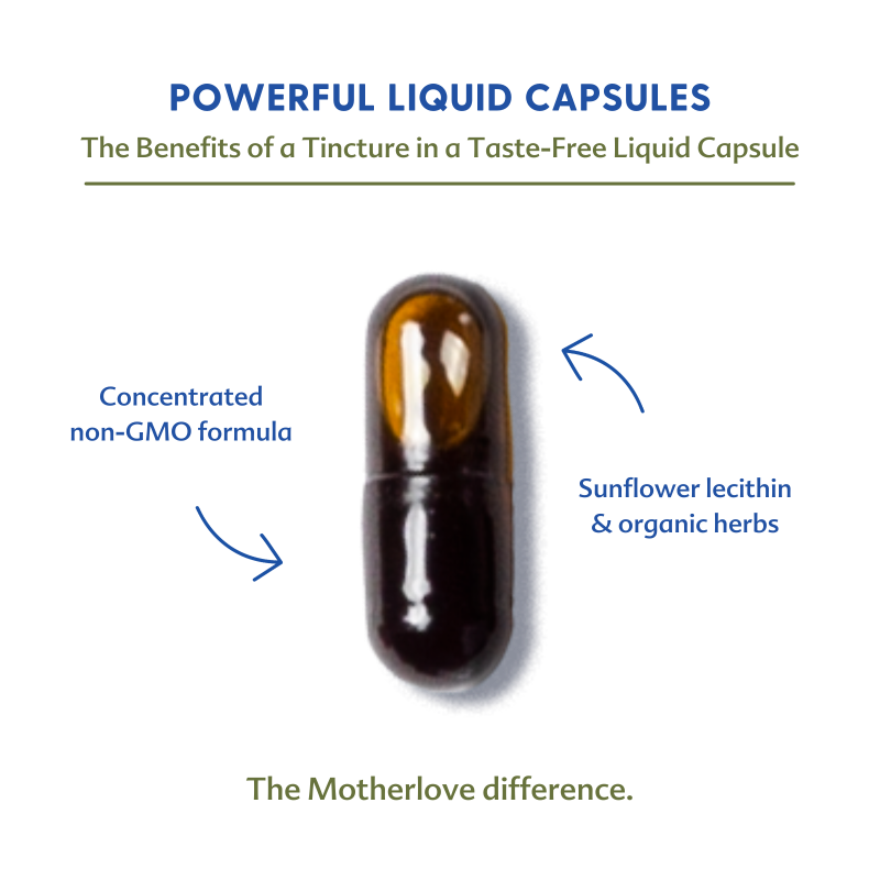 Moringa (Malunggay) - Liquid Capsules