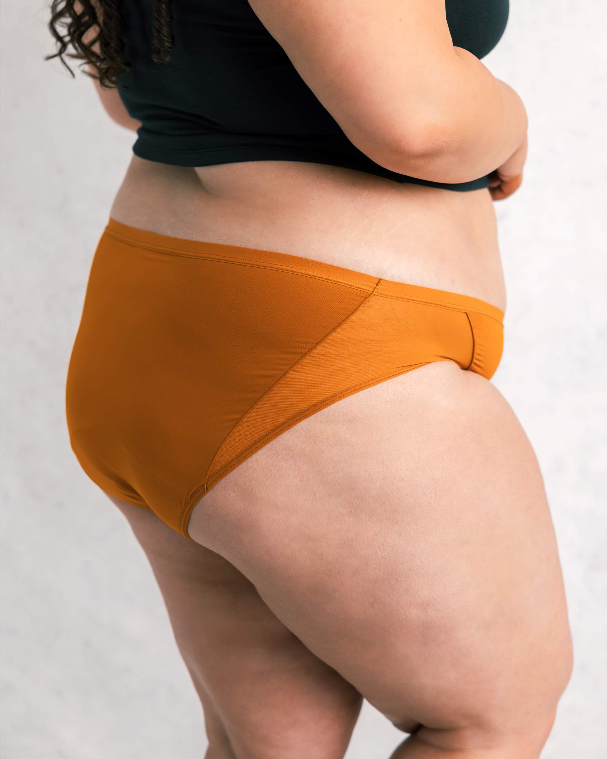 Leakproof Period Mesh Bikini