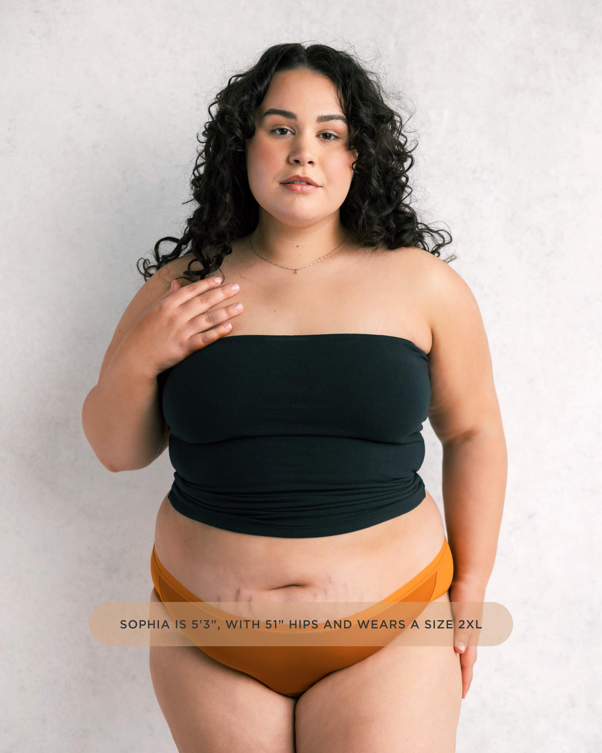 Leakproof Period Mesh Bikini