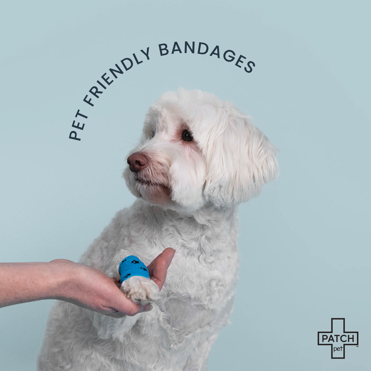 Eco First-Aid Kit for Pets