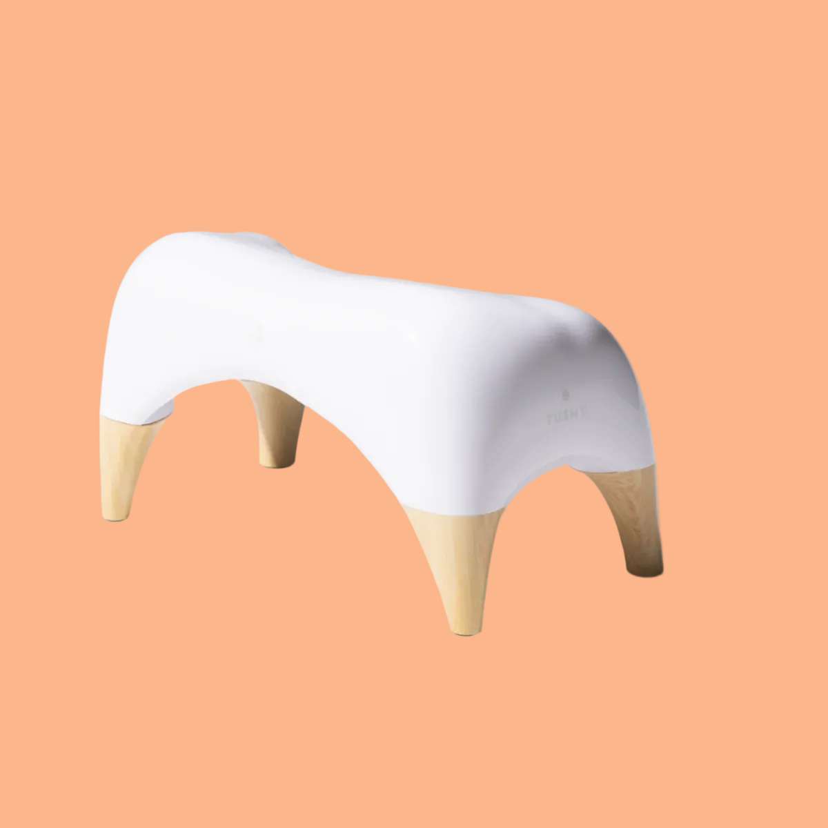 TUSHY Ottoman