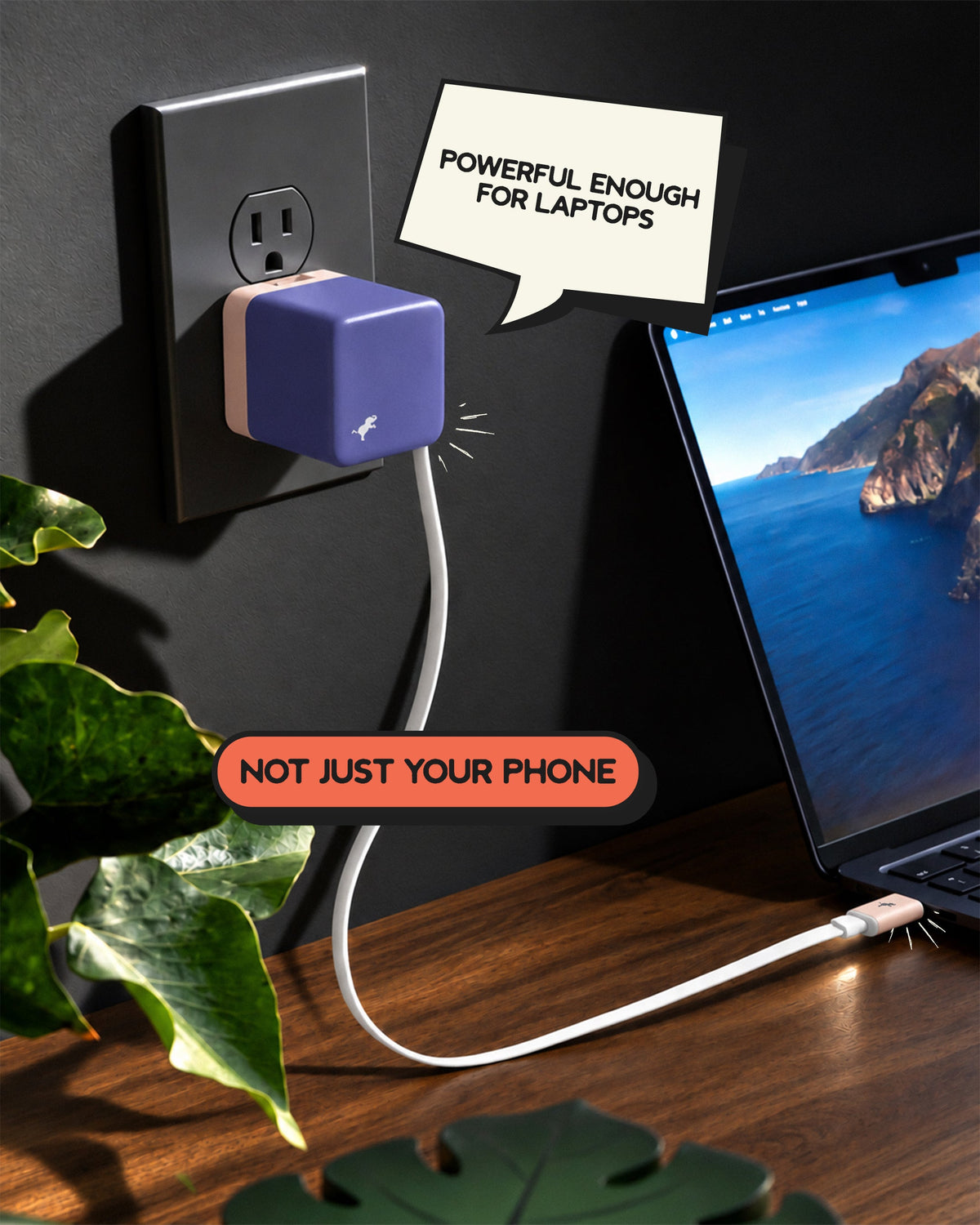WALLY Stretch 65W Wall Charger