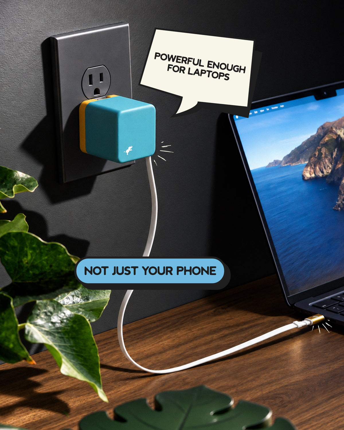 WALLY Stretch 65W Wall Charger