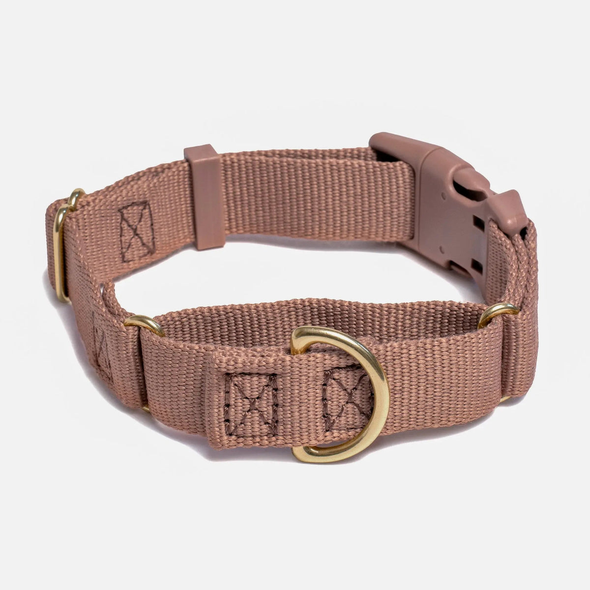 Marty Dog Collar