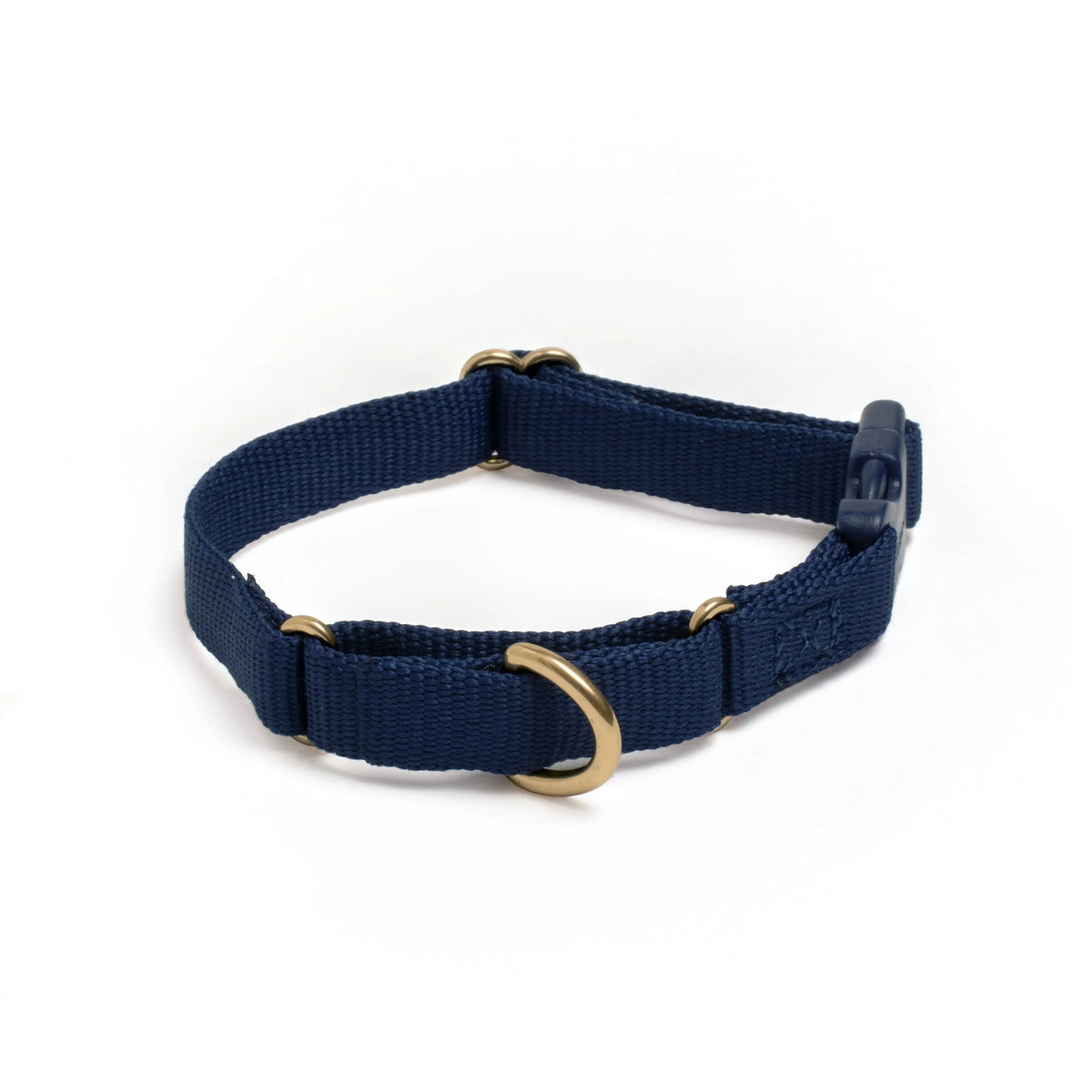 Marty Dog Collar