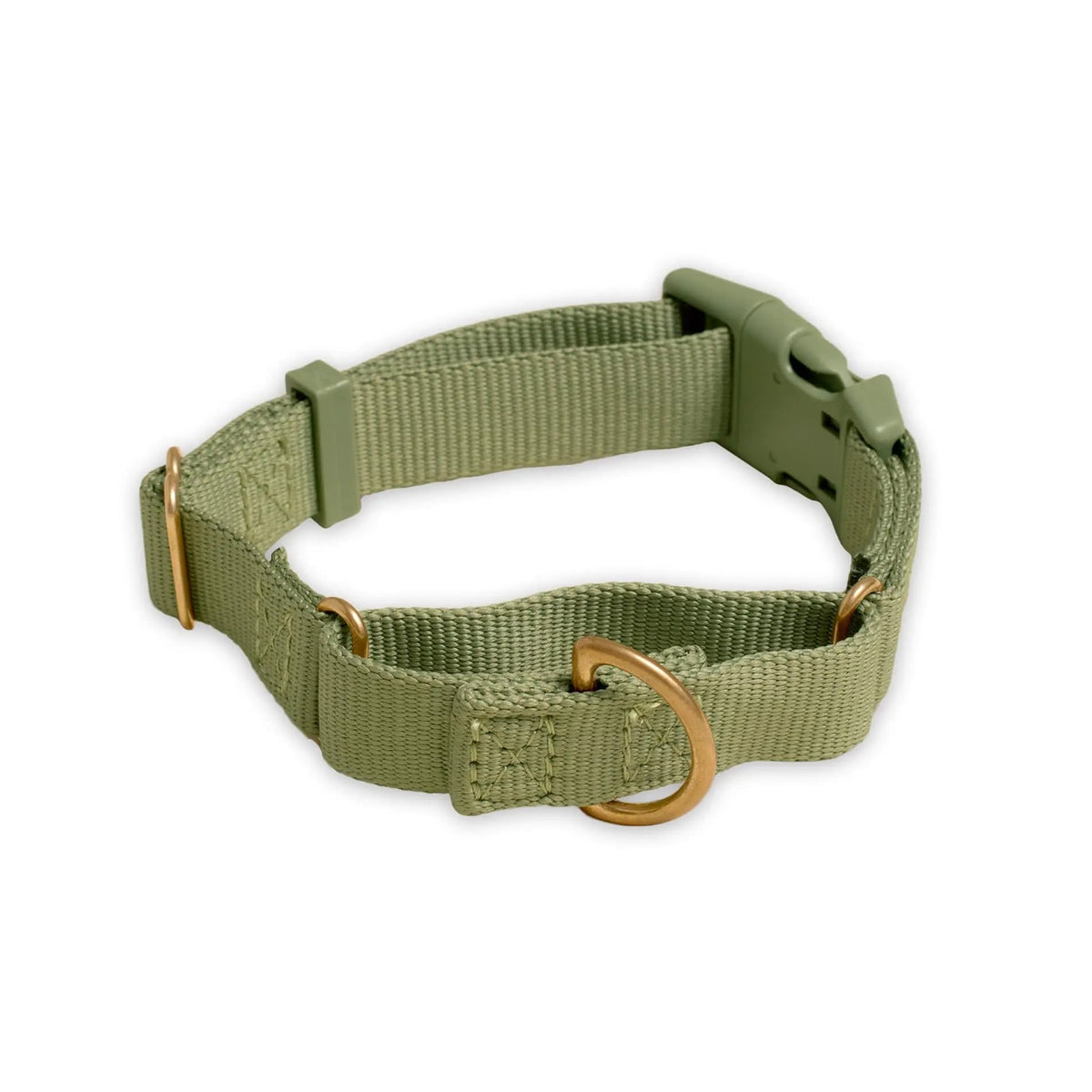 Marty Dog Collar