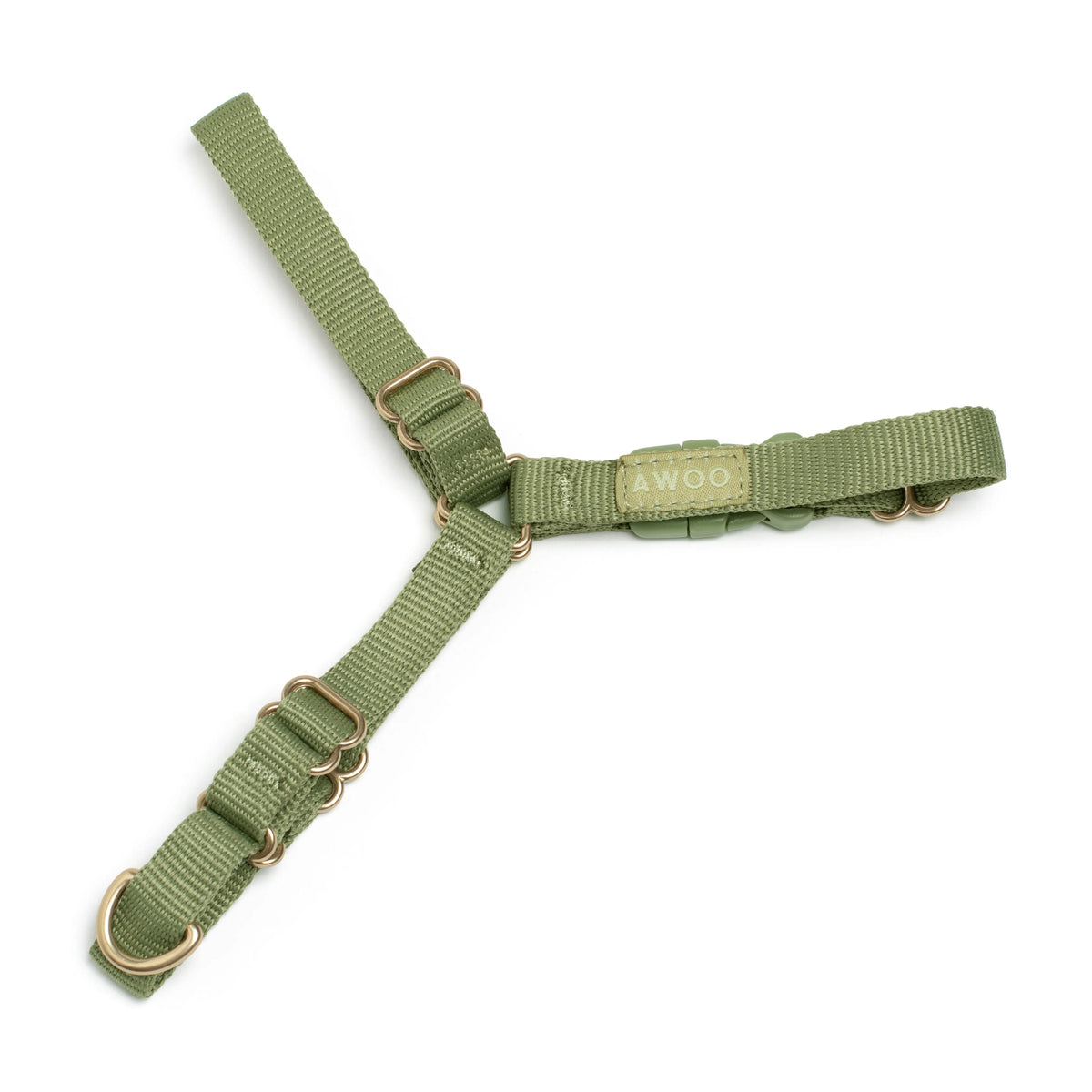 Roam Dog Harness