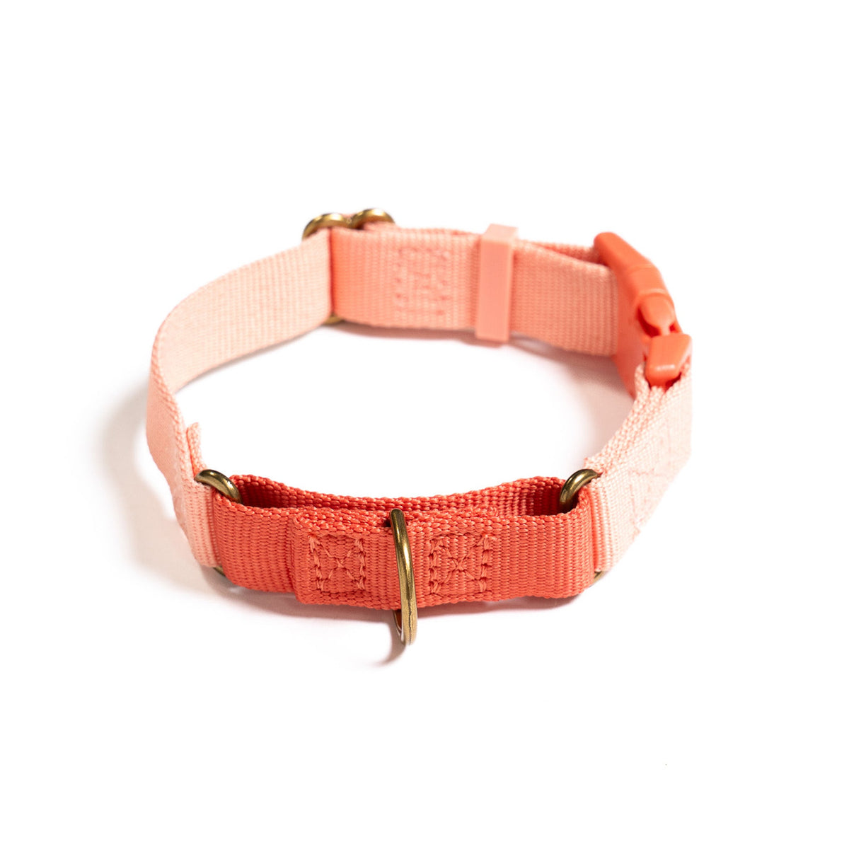 Marty Dog Collar