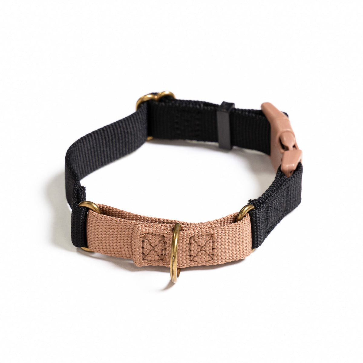 Marty Dog Collar
