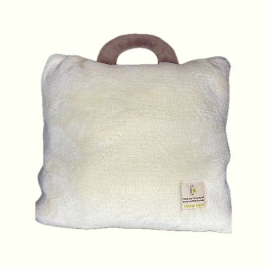 Plush Bear case with attached blanket inside