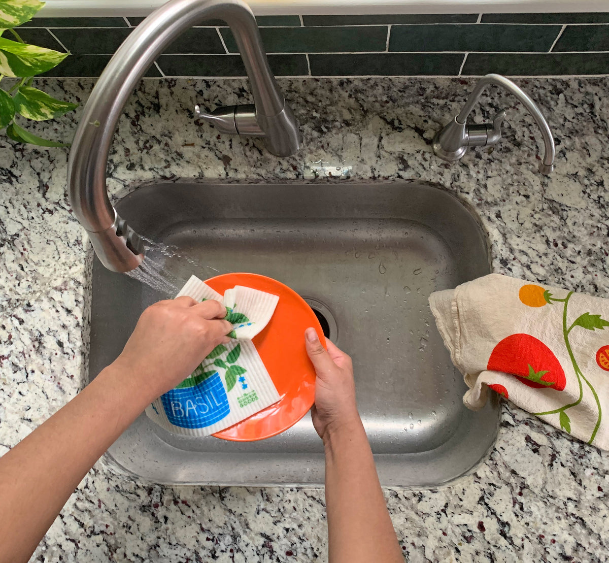 The Neighborgoods Fresh Herbs Sponge Cloth Set of 3