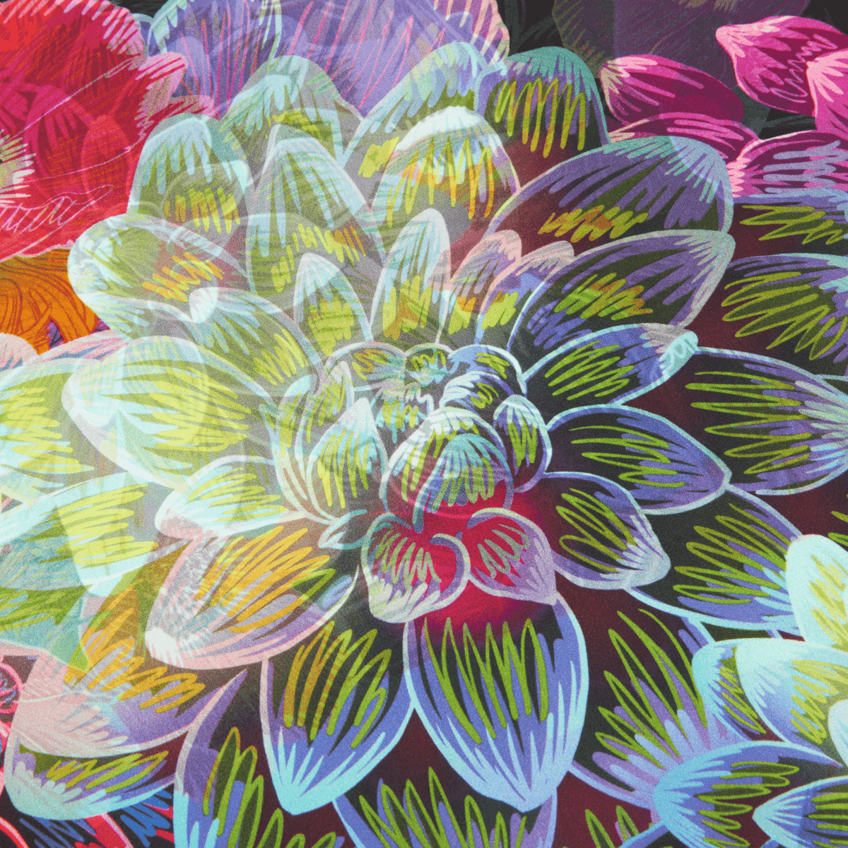 Delilah - 50" Mulberry Silk Furoshiki Gift Wrap by Adam Klassen