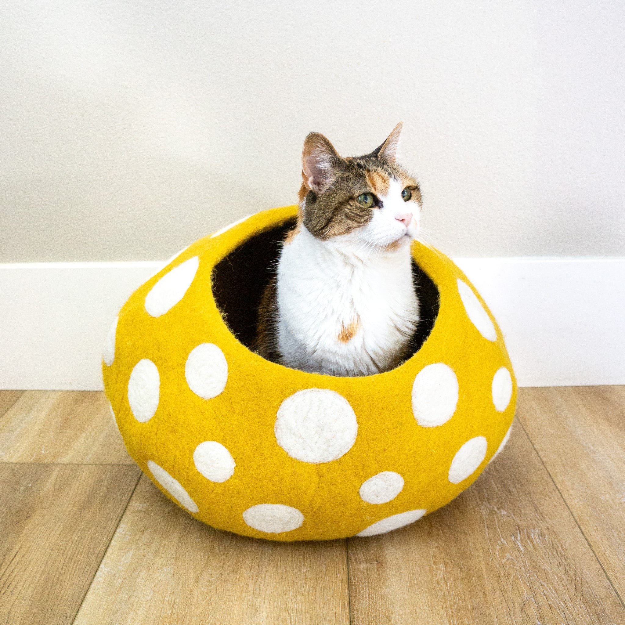 Gold Mushroom Eco Kitty Cave
