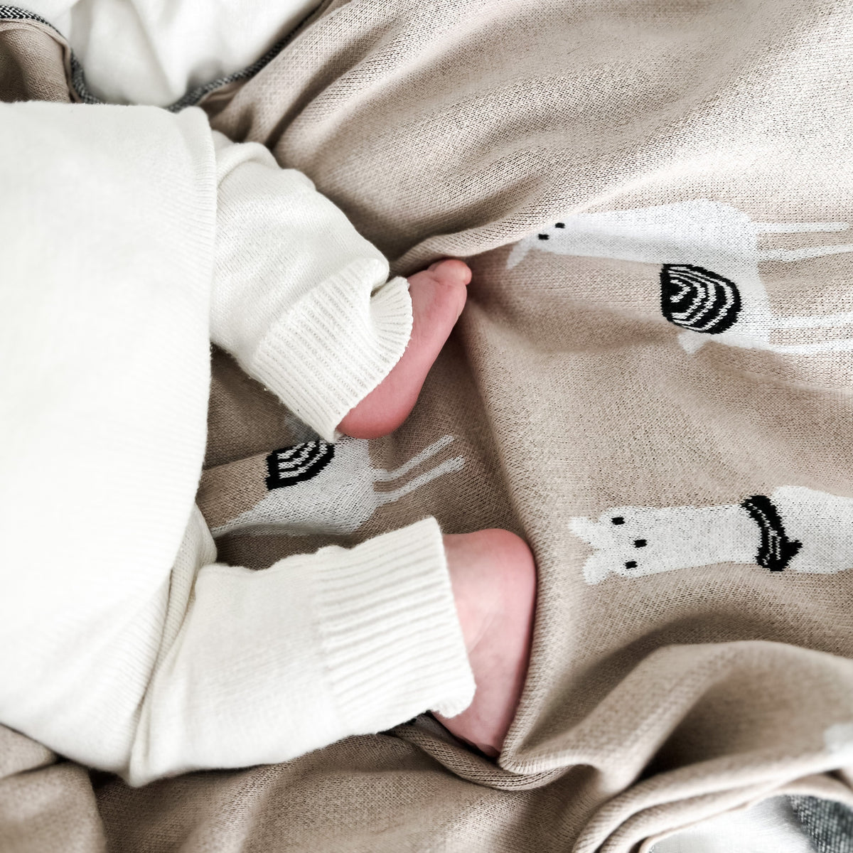 Llama Cotton Knit Baby Blanket