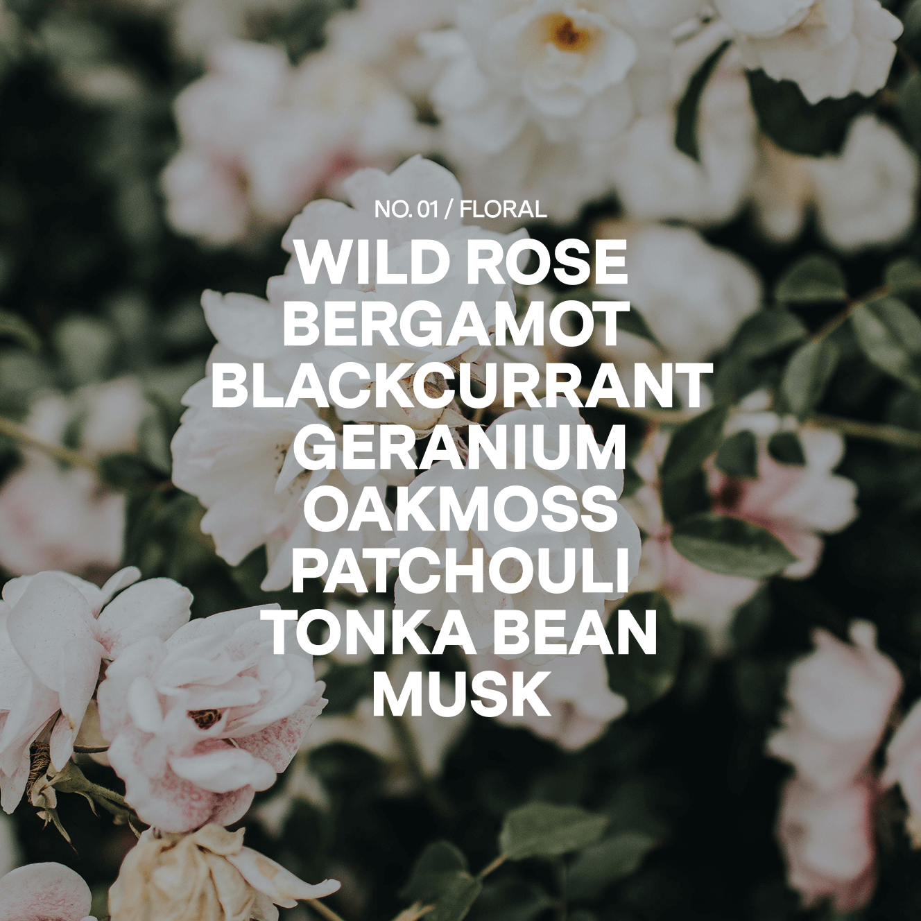No 01 Candle Refill — Bergamot, White Rose, Oakmoss