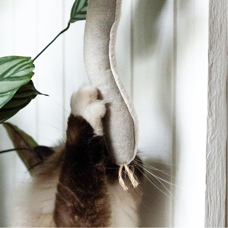 Snake Catnip Cat Toy