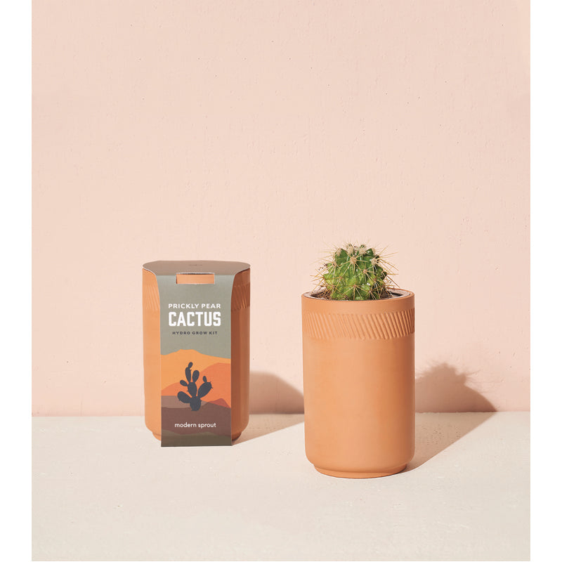 Terracotta Planter Kit